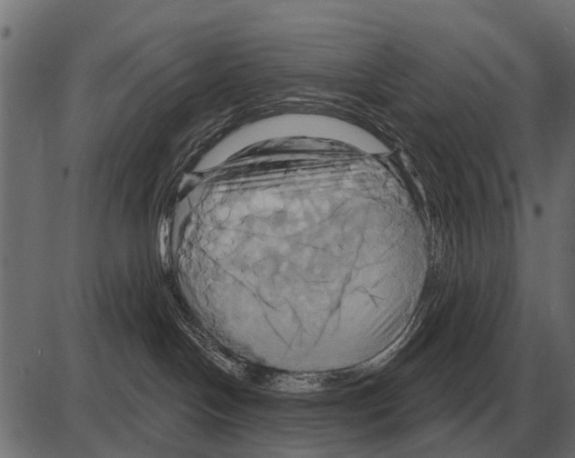 X0000084020094200703161750