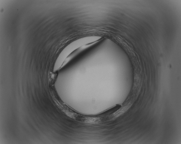 X0000084020096200703161750