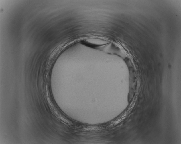 X0000084020097200703161750