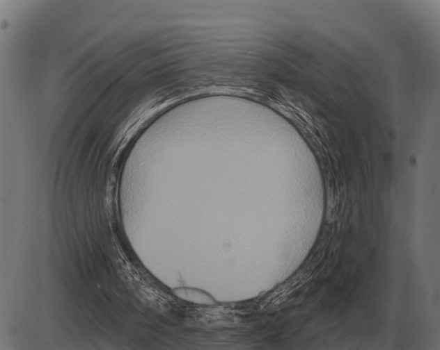 X0000084020098200703161750