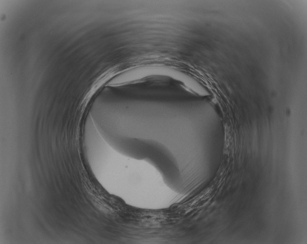 X0000084020099200703161750