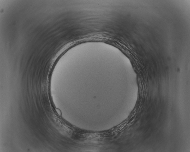 X0000084020100200703161750