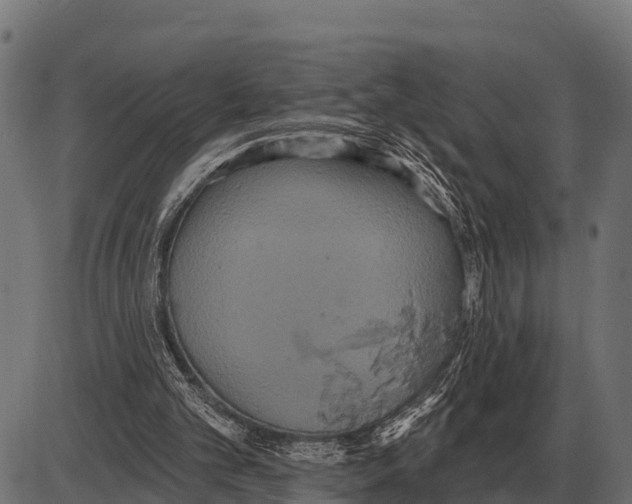 X0000084020101200703161750