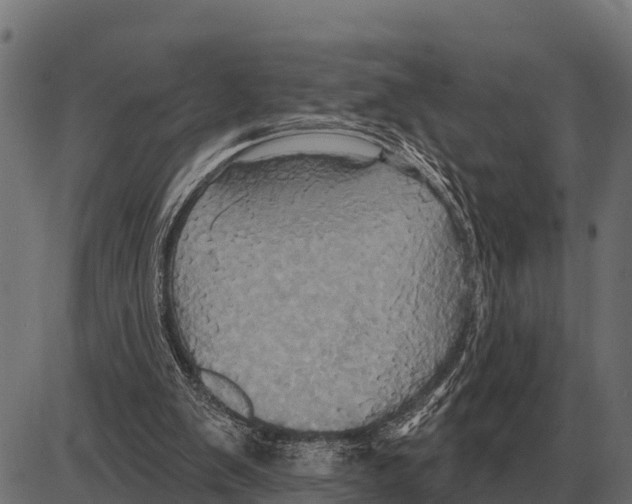 X0000084020103200703161750