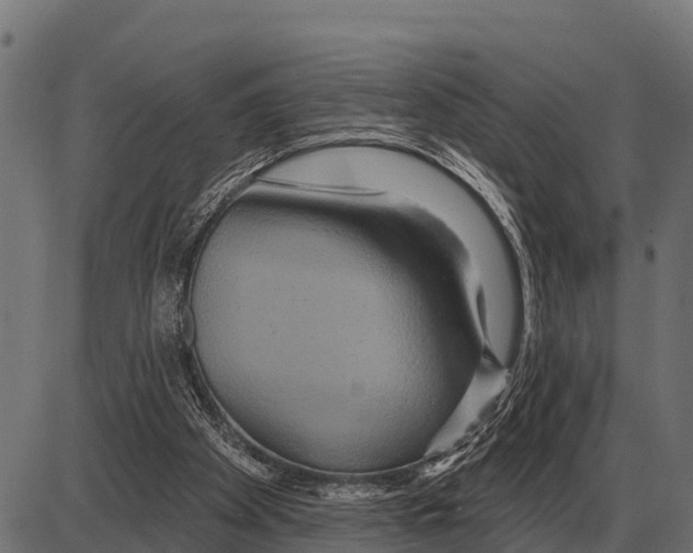 X0000084020105200703161749