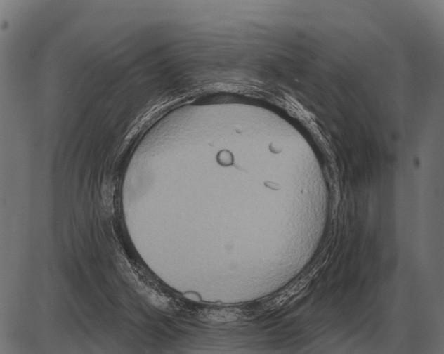 X0000084020106200703161749