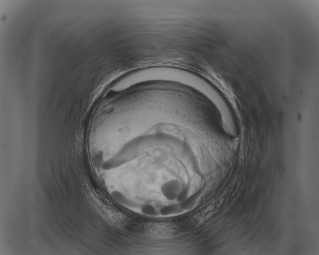 X0000084020107200703161749