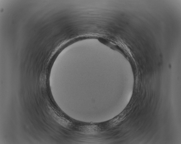 X0000084020108200703161749