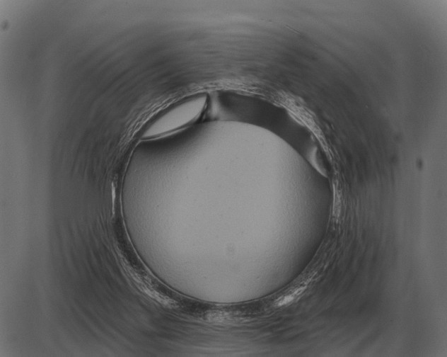 X0000084020109200703161749