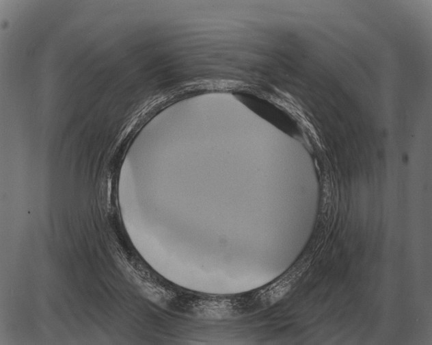 X0000084020110200703161749