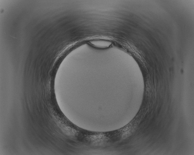 X0000084020112200703161749