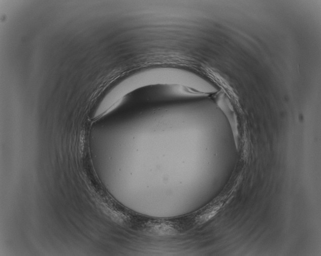 X0000084020113200703161749