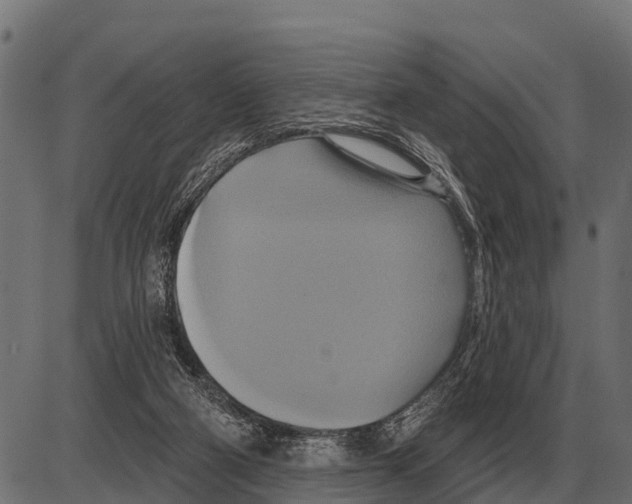 X0000084020114200703161749