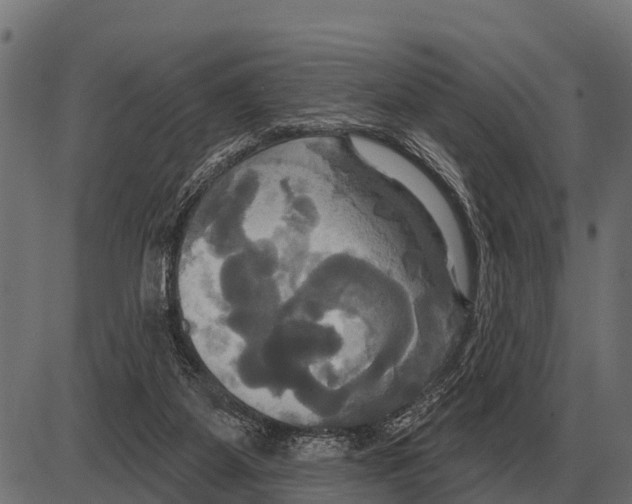 X0000084020115200703161749