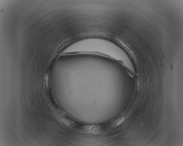 X0000084020117200703161749