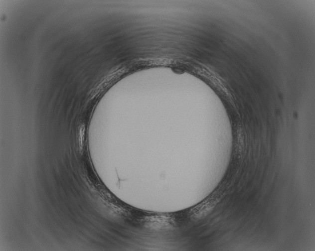 X0000084020118200703161749