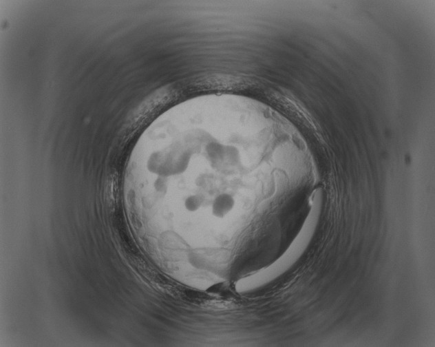 X0000084020119200703161749