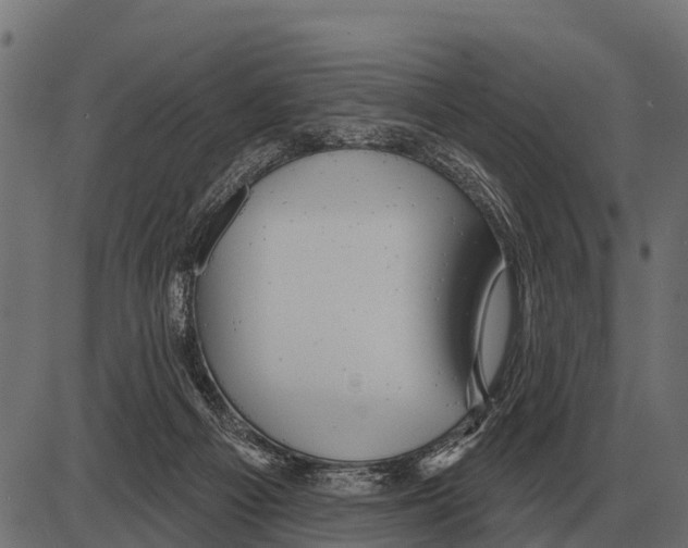 X0000084020121200703161749