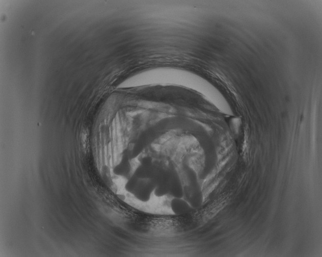 X0000084020123200703161749