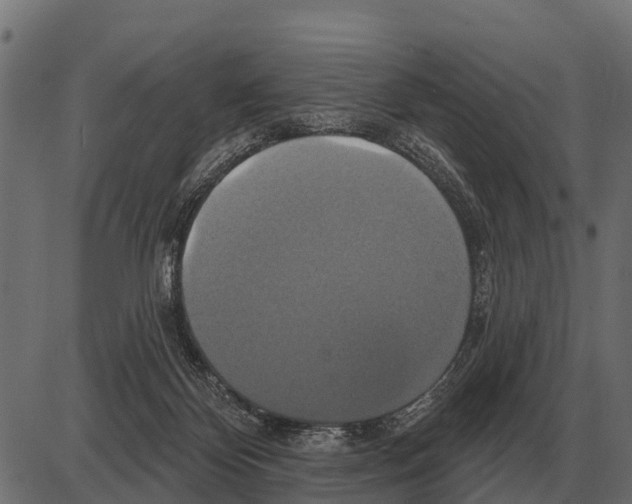 X0000084020124200703161749