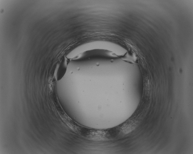 X0000084020125200703161749