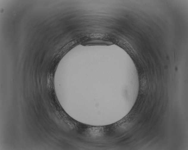 X0000084020126200703161749