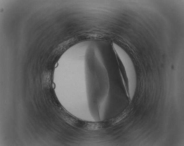 X0000084020127200703161749