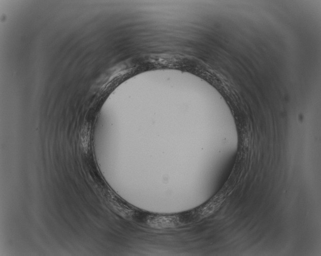 X0000084020129200703161749