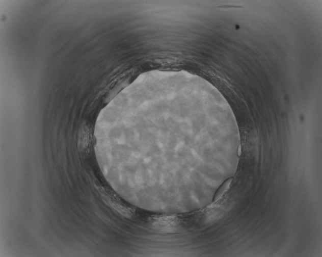 X0000084020132200703161749