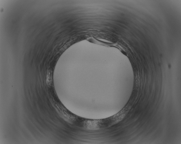 X0000084020134200703161749