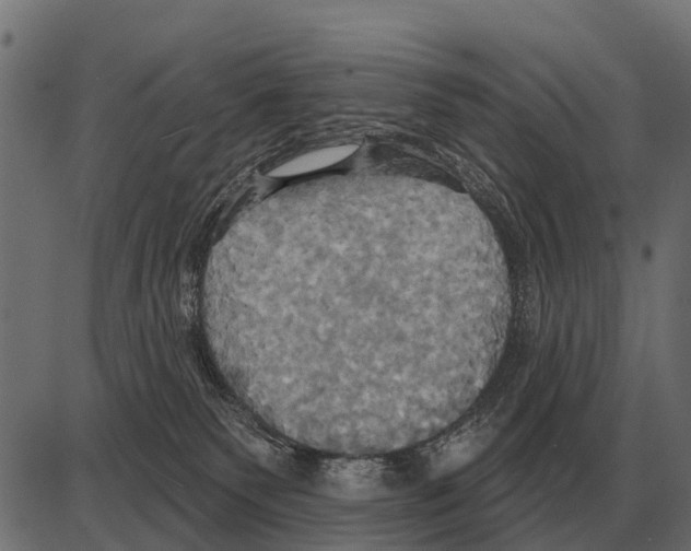 X0000084020135200703161749