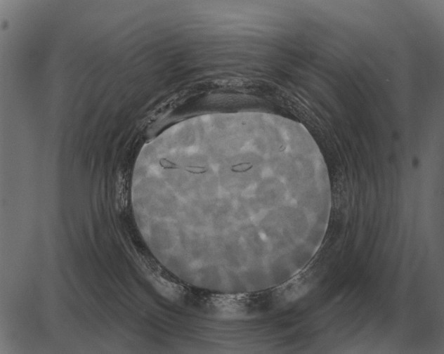 X0000084020136200703161749