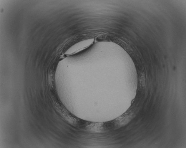 X0000084020138200703161749