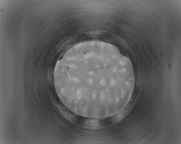 X0000084020140200703161749