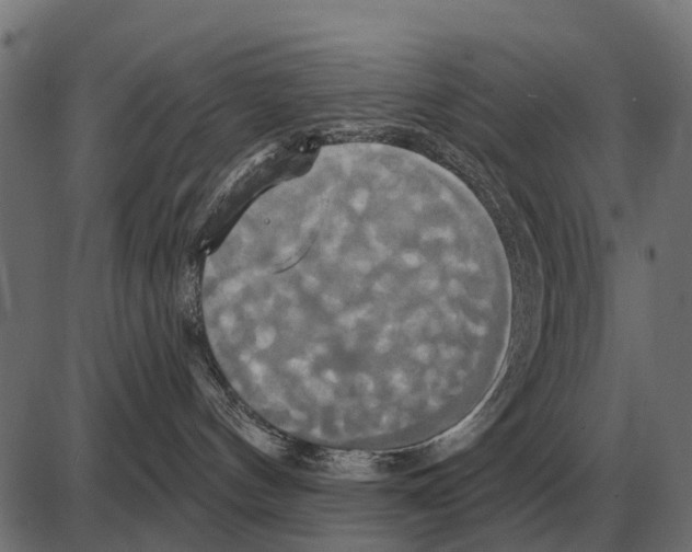 X0000084020144200703161749