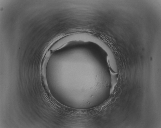 X0000084020148200703161748