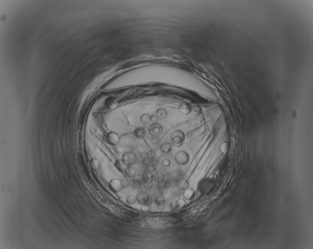 X0000084020149200703161748