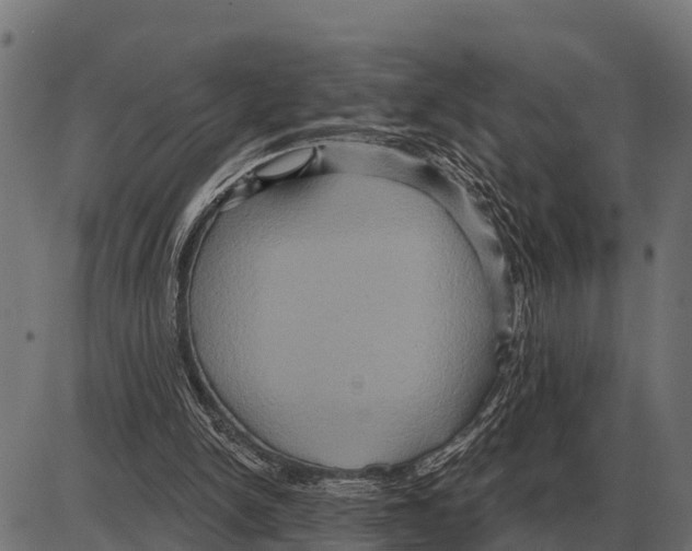 X0000084020150200703161748