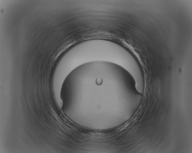 X0000084020154200703161748