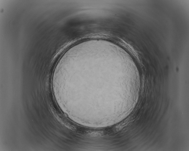 X0000084020155200703161748