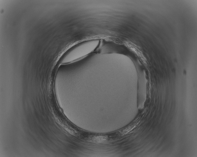 X0000084020156200703161748