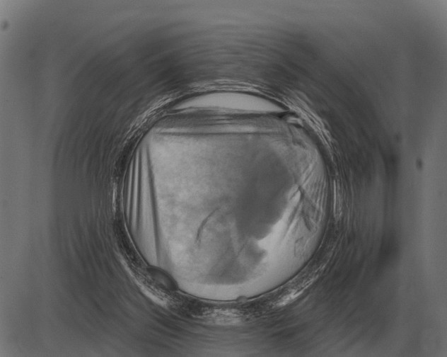 X0000084020157200703161748