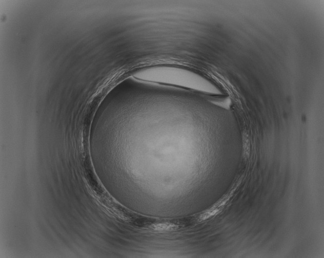 X0000084020158200703161748