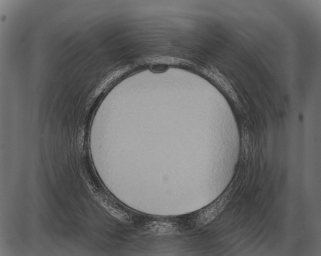 X0000084020159200703161748