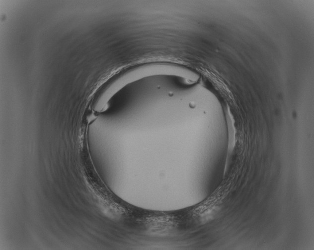 X0000084020160200703161748