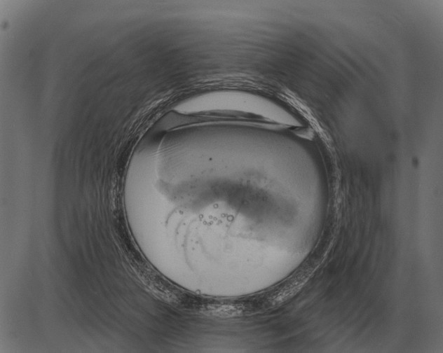 X0000084020161200703161748