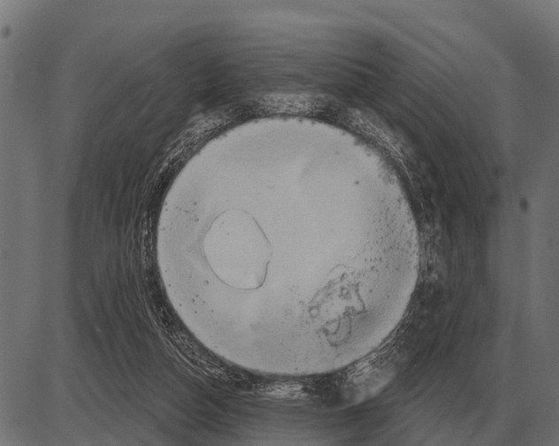 X0000084020162200703161748