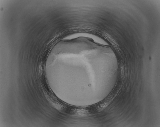 X0000084020165200703161748