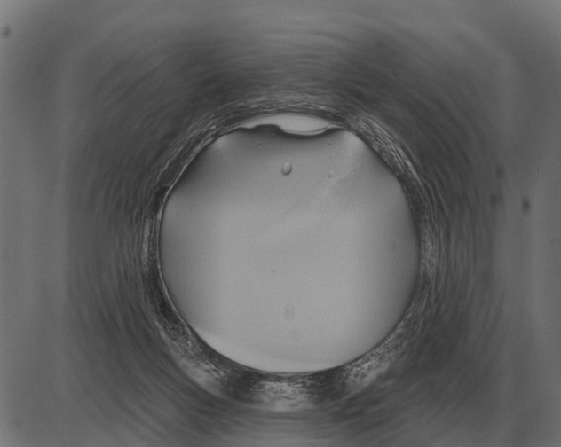 X0000084020167200703161748