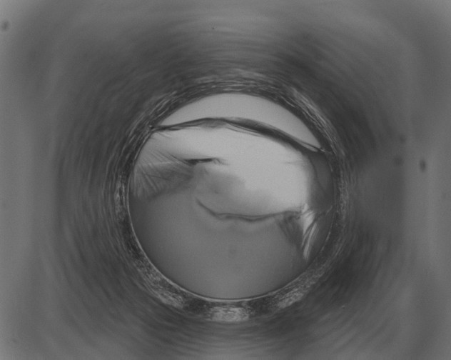 X0000084020169200703161748